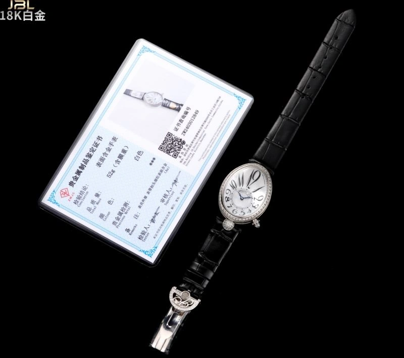 WrinkleFree BREGUET Watches 177456