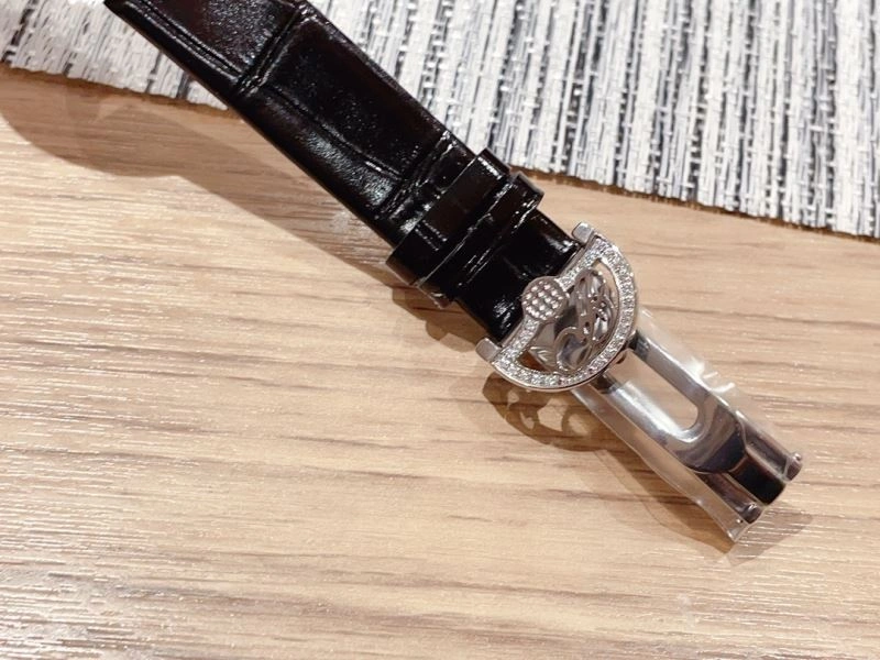 Supportive BREGUET Watches 177461