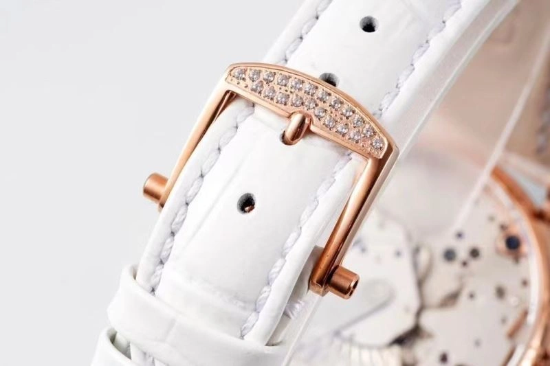 BREGUET Watches Resilient 177460