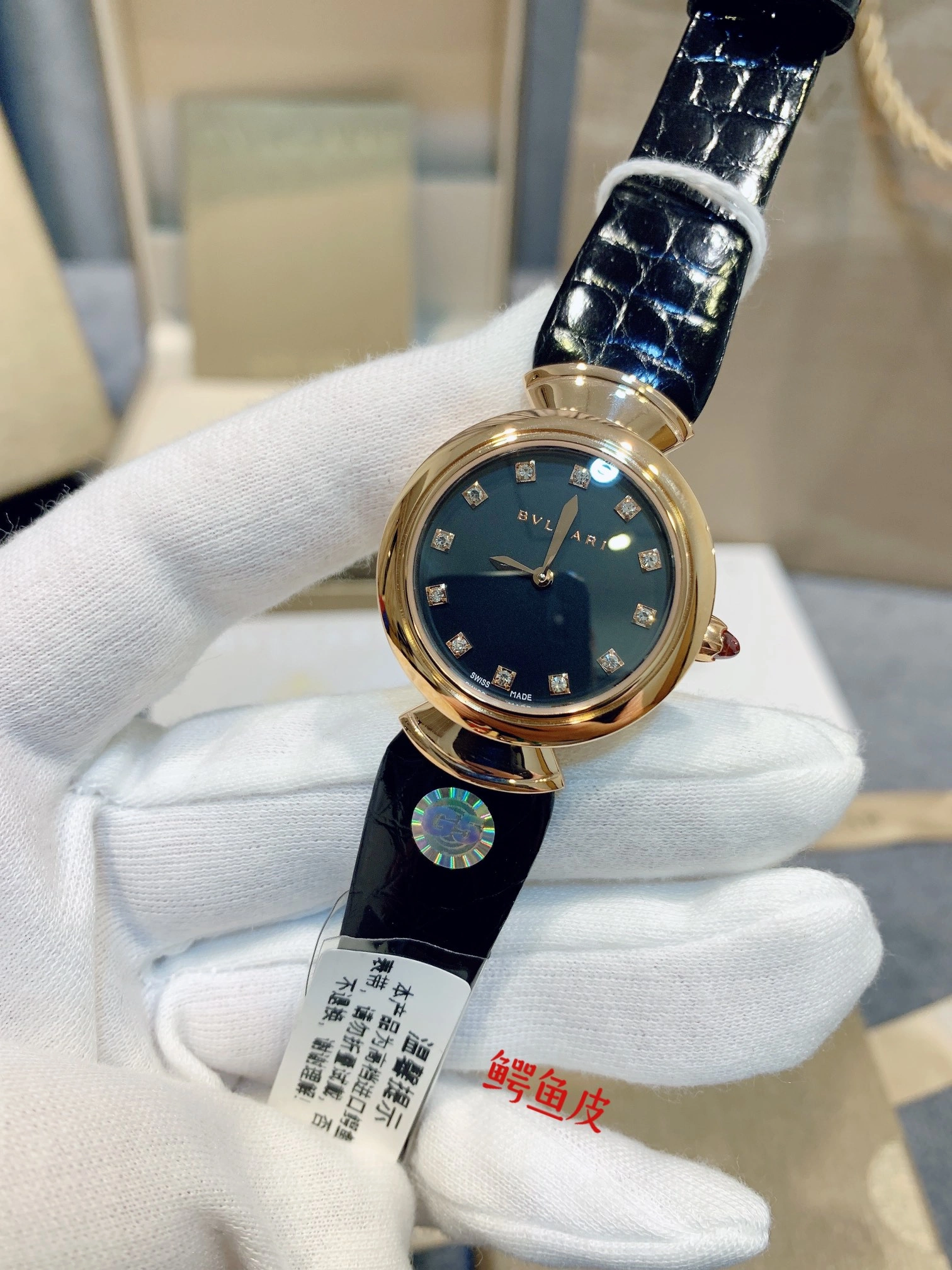 BVLGARI Watches EasyCare 178301