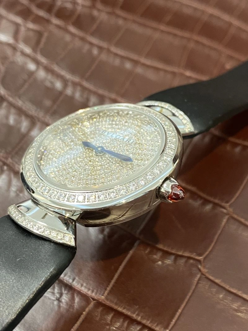 MultiPurpose BVLGARI Watches 178297