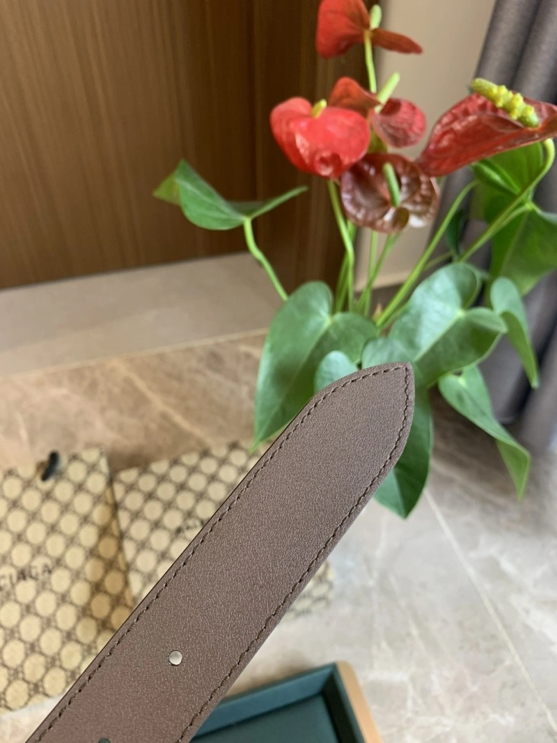 Lightweight Balenciaga Belts 282902