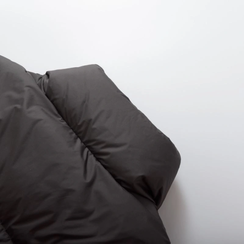 Balenciaga Down Jackets Timeless 98913