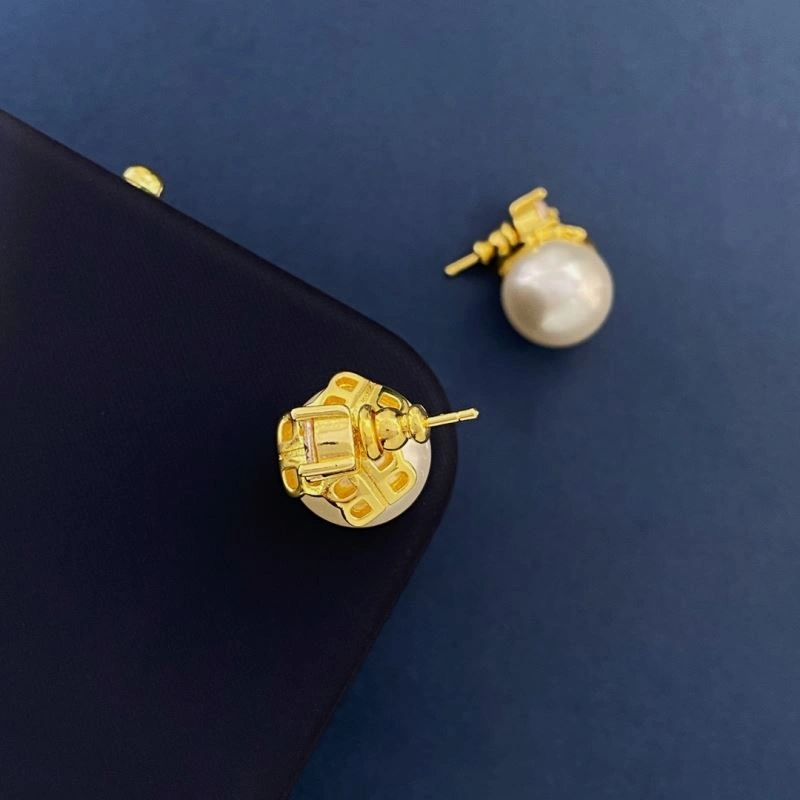 Balenciaga Earrings Affordable 215701