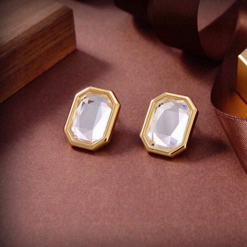Vibrant Balenciaga Earrings 215454