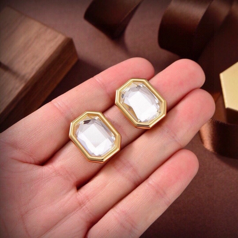 Vibrant Balenciaga Earrings 215454