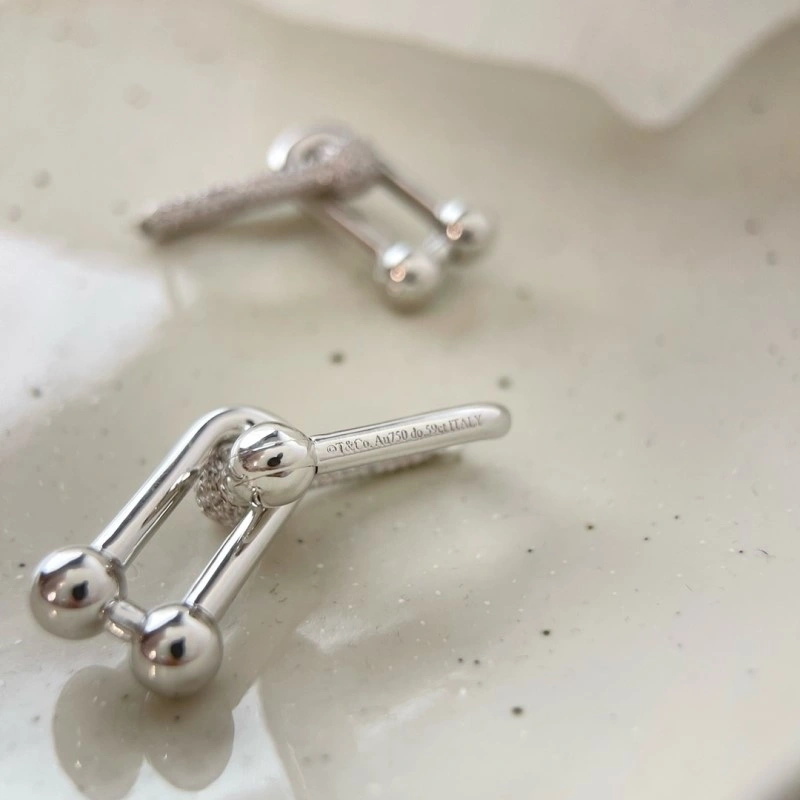 Balenciaga Earrings Colorful 215469