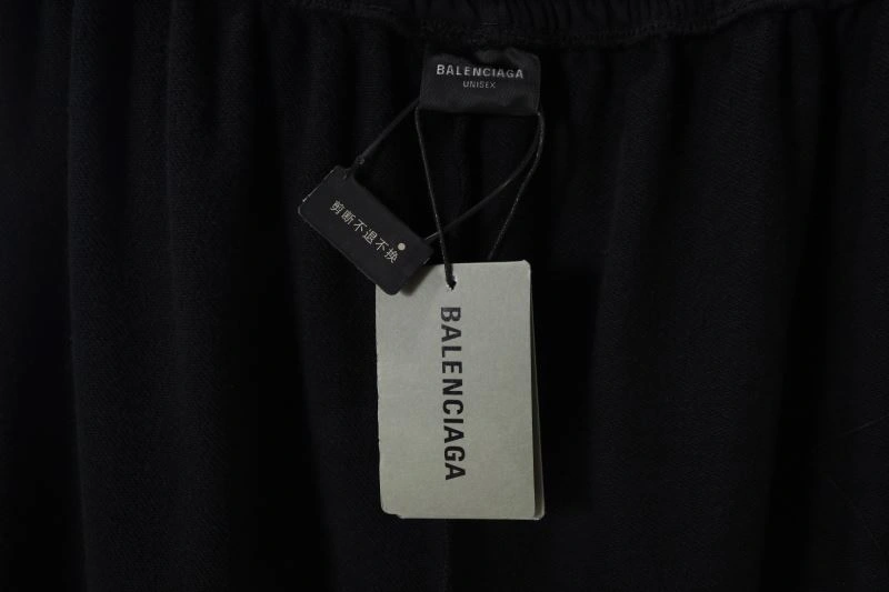 Balenciaga Long Pants Durable 98712