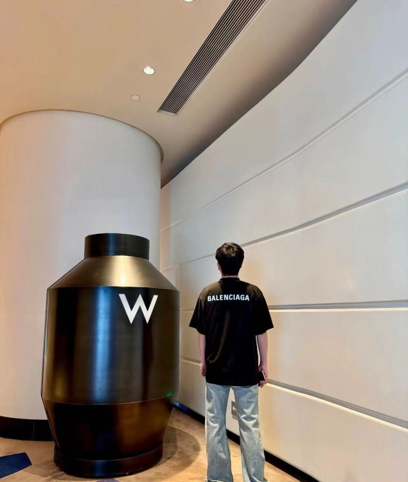 Balenciaga T-Shirts FlexibleFit 98297