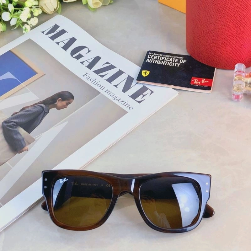 Efficient Bay Ban Sunglasses 282208