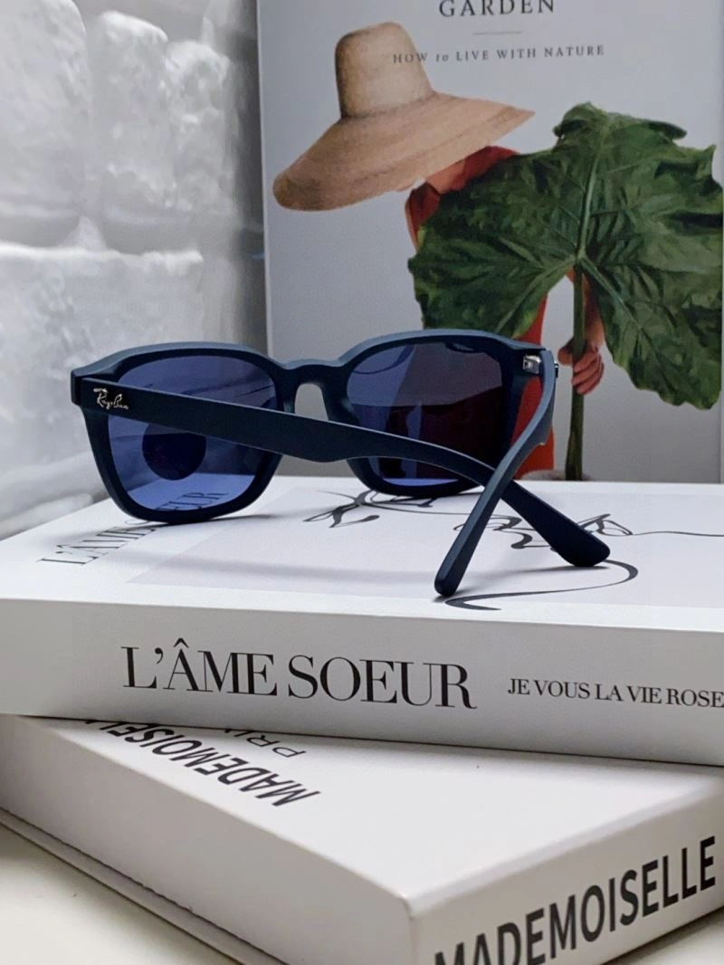 EasyCare Bay Ban Sunglasses 282246