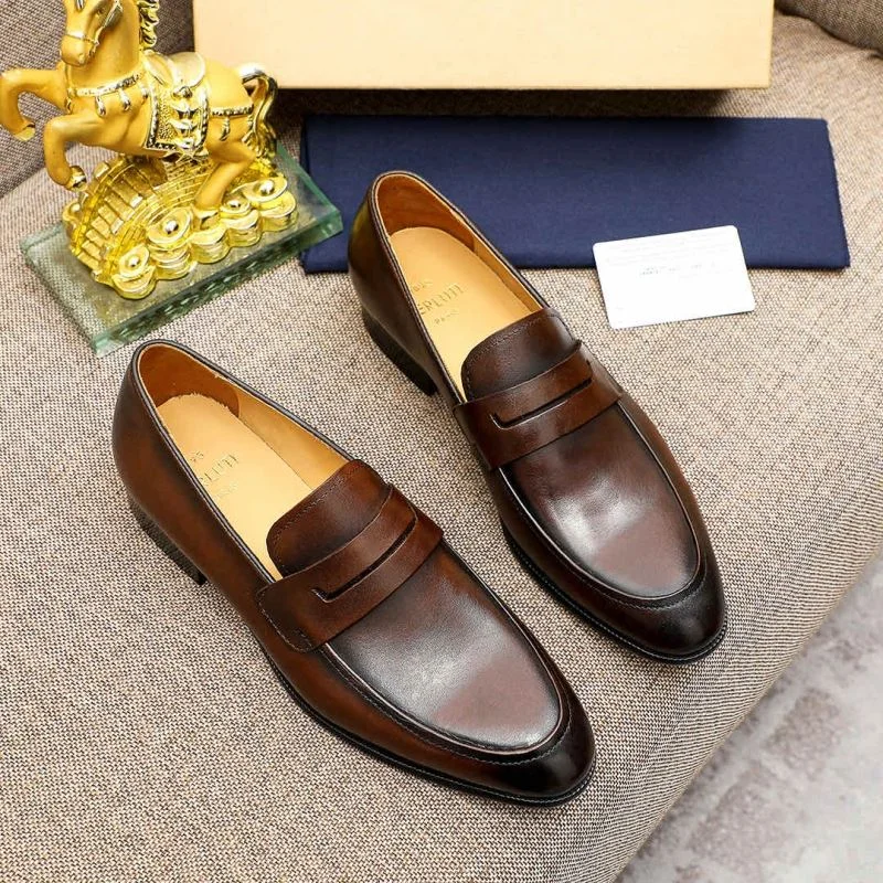 Elegant Berluti Shoes 5215