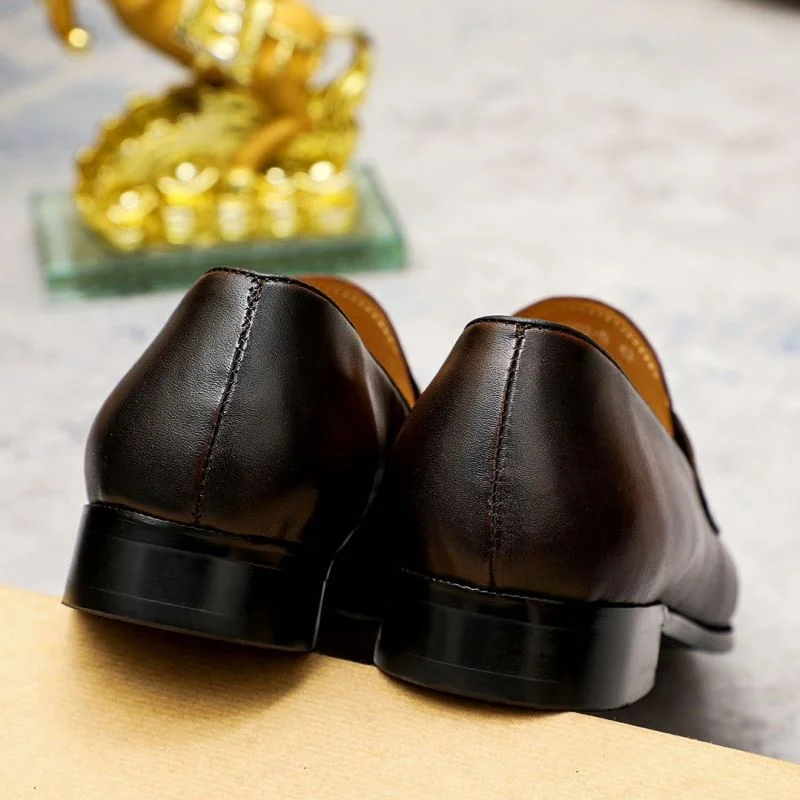 Elegant Berluti Shoes 5215