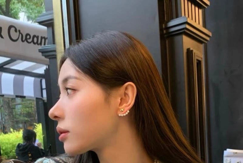 Colorful Bottega Veneta Earrings 215753