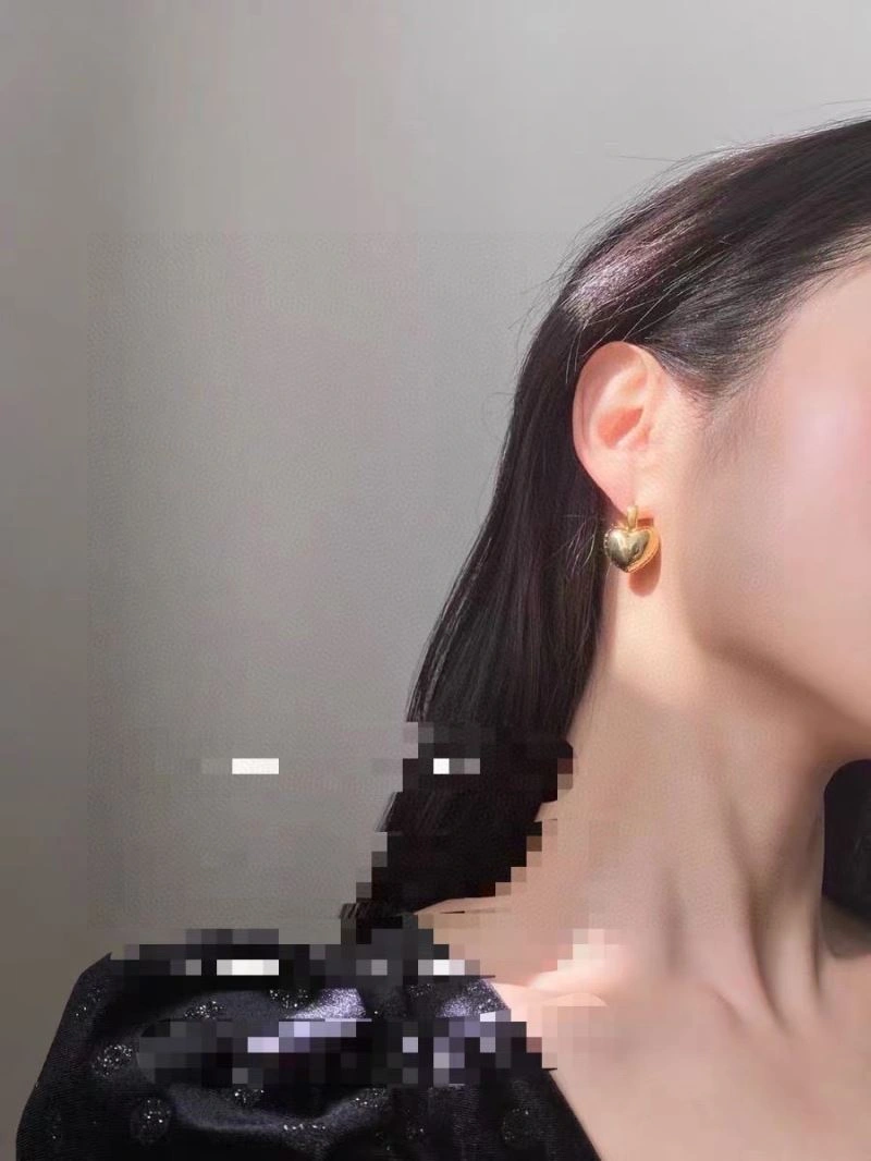 Packable Bottega Veneta Earrings 212468