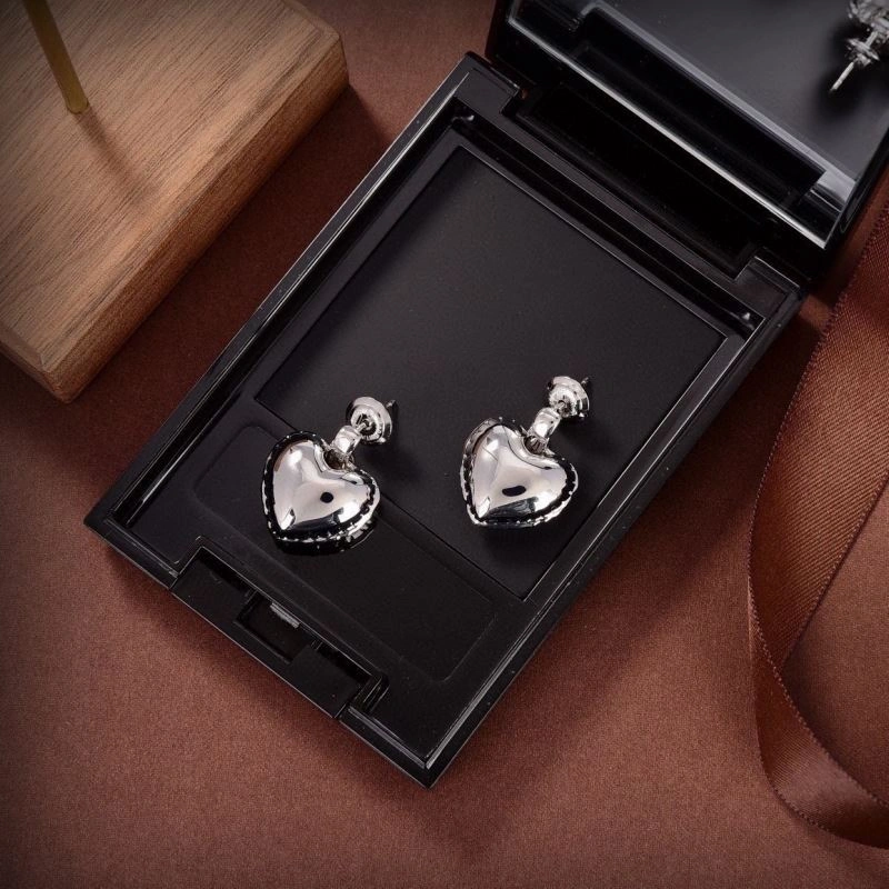 Packable Bottega Veneta Earrings 212468