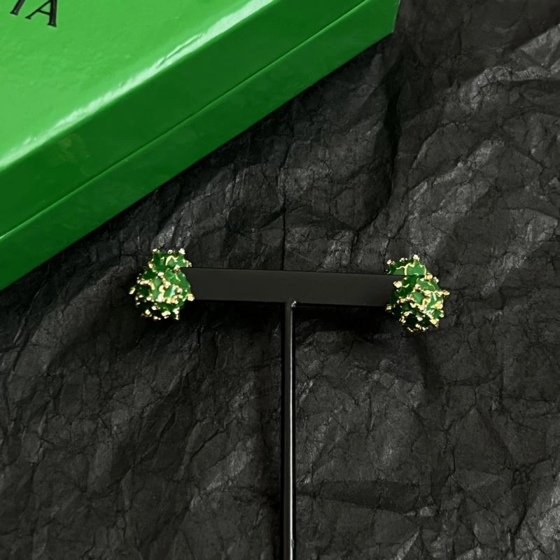 Affordable Bottega Veneta Earrings 212465