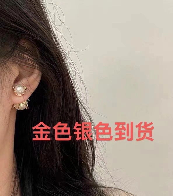 MultiPurpose Bottega Veneta Earrings 211440