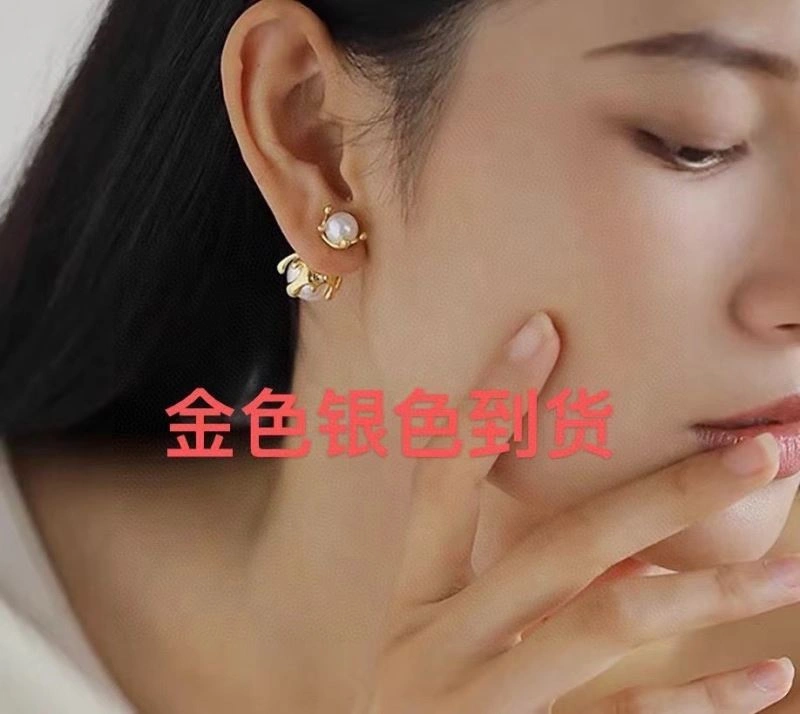 MultiPurpose Bottega Veneta Earrings 211440