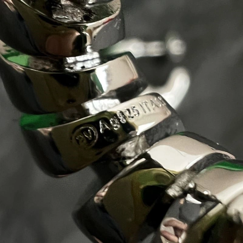 Bottega Veneta Earrings Timeless 210190