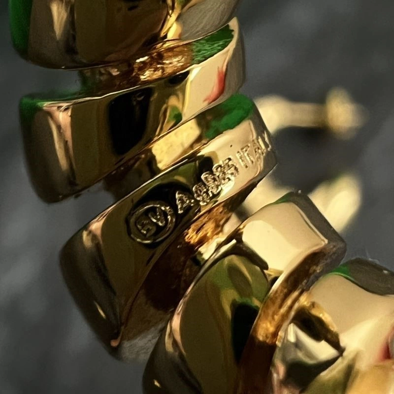 Durable Bottega Veneta Earrings 210160