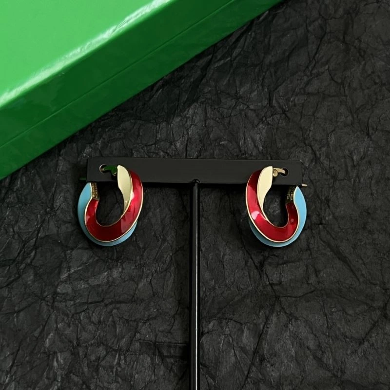 Chic Bottega Veneta Earrings 209473