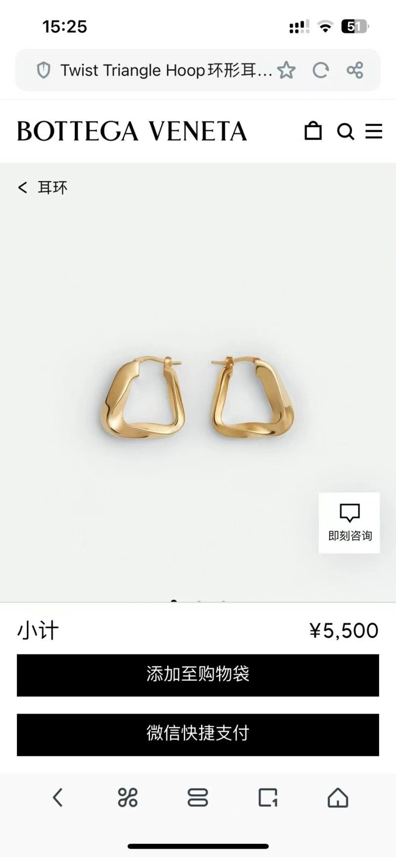 ModernLook Bottega Veneta Earrings 208188