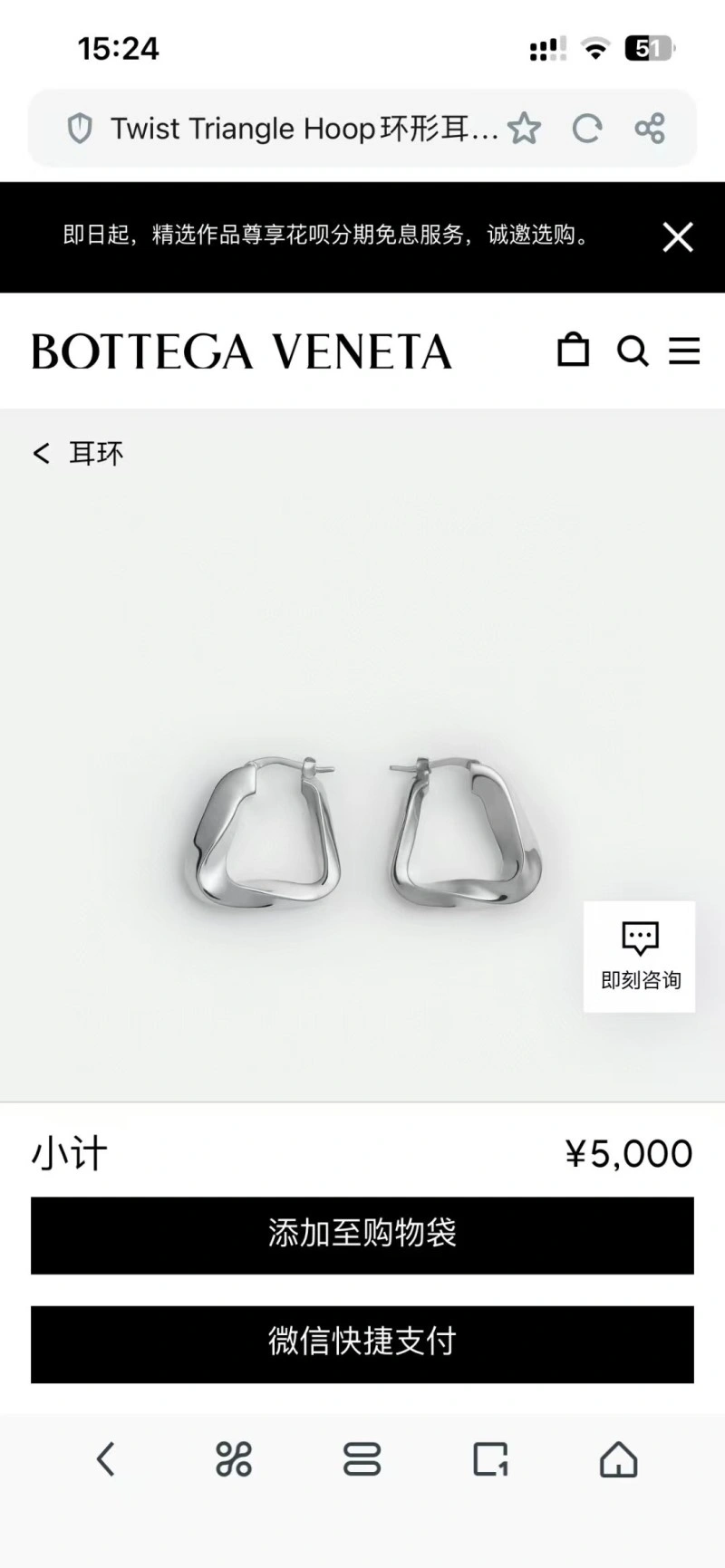 ModernLook Bottega Veneta Earrings 208188