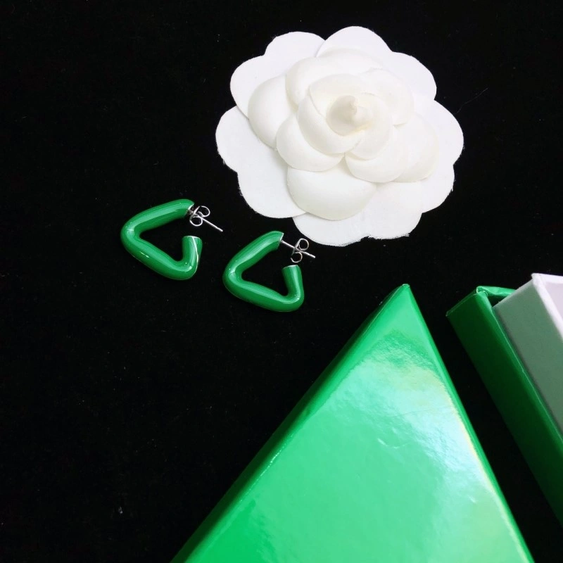 Trendy Bottega Veneta Earrings 208171