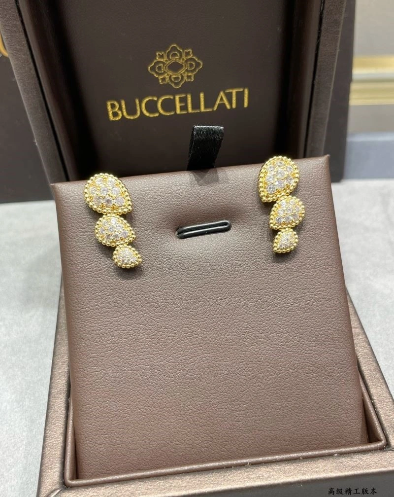 Attractive Boucheron Earrings 210118