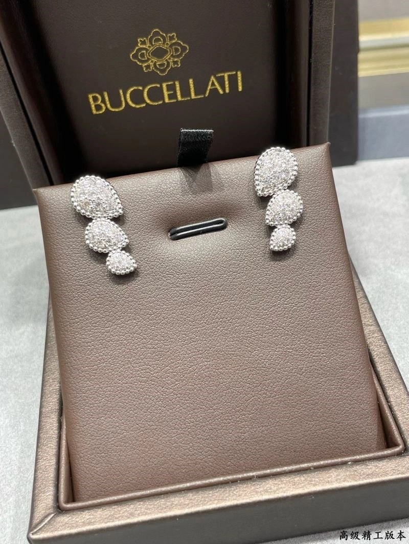 Attractive Boucheron Earrings 210118