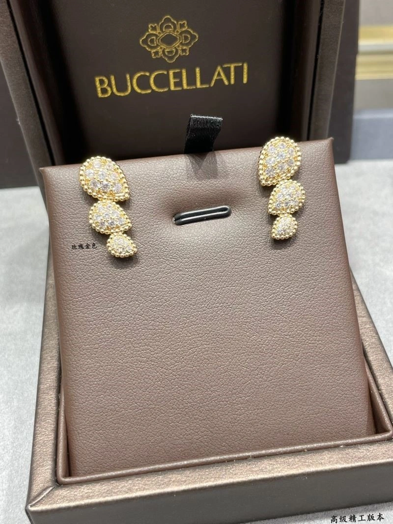 Attractive Boucheron Earrings 210118