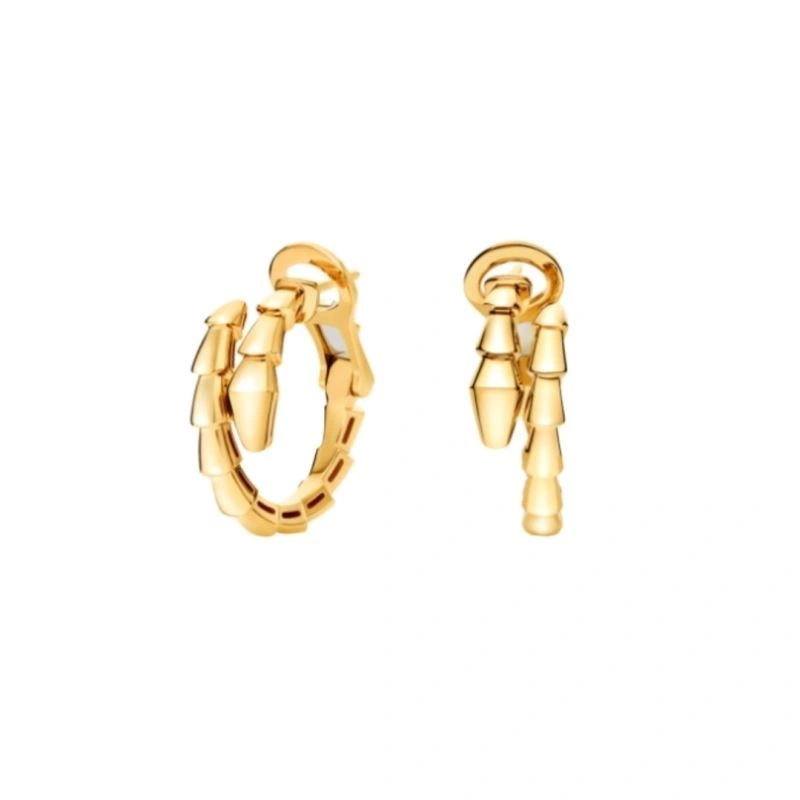 Boucheron Earrings Unique 208859