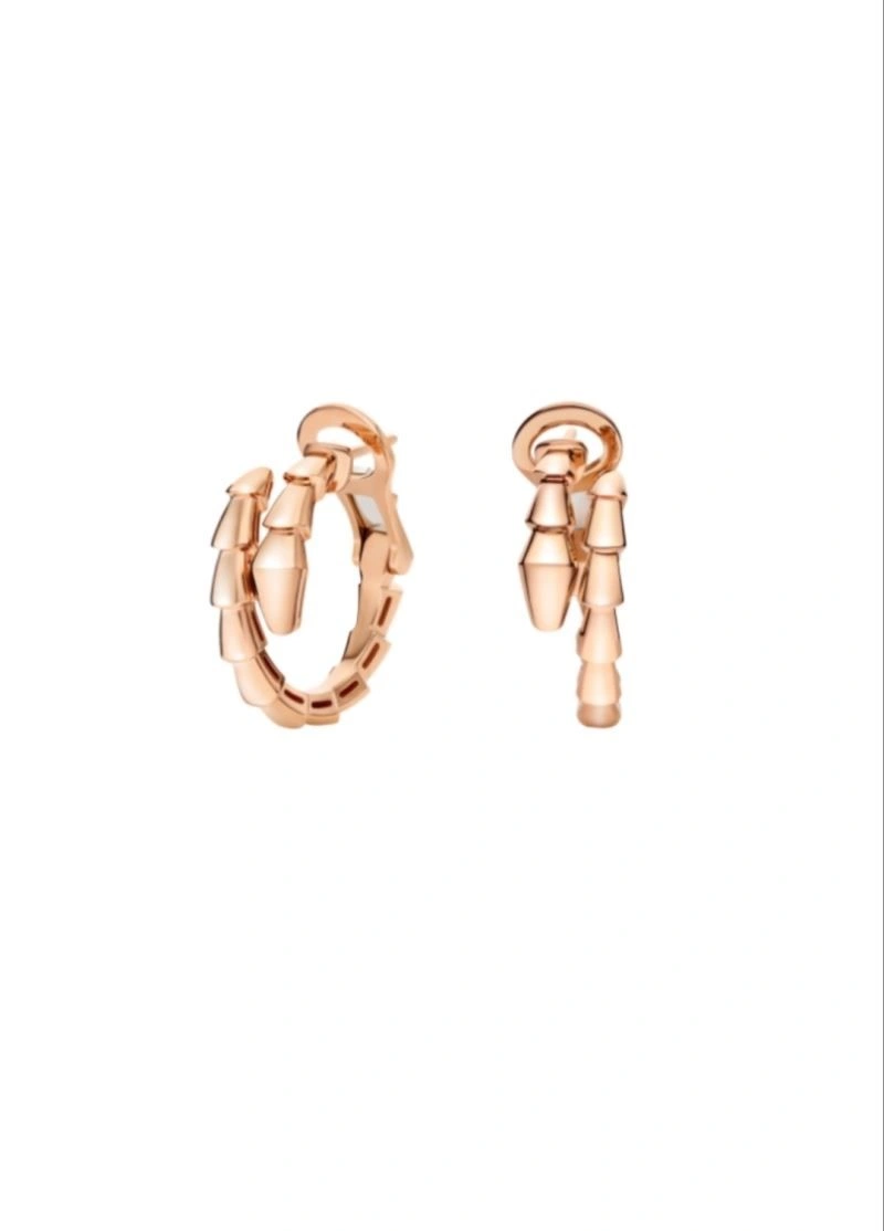 Boucheron Earrings Unique 208859