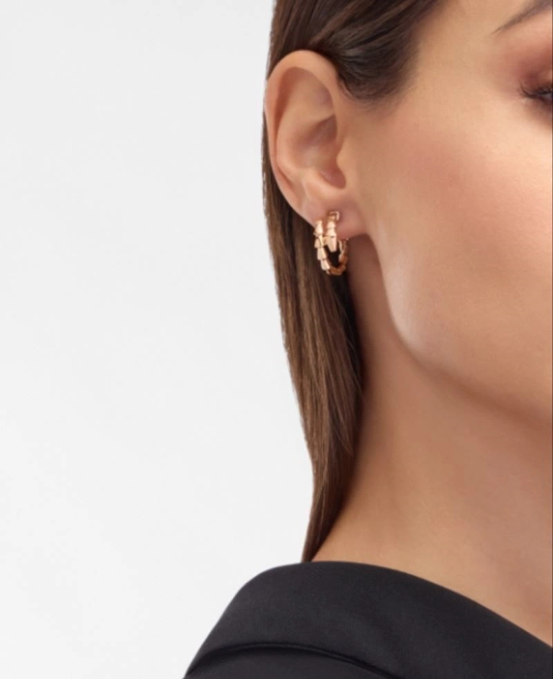 Boucheron Earrings Unique 208859