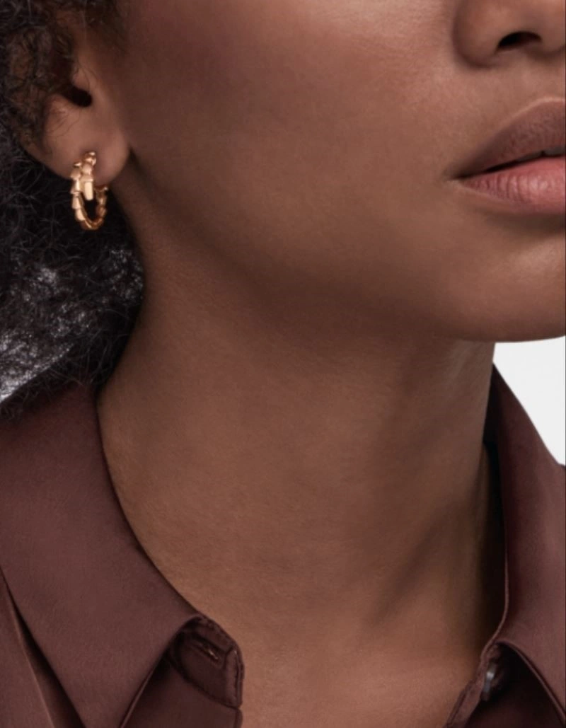 Boucheron Earrings Unique 208859
