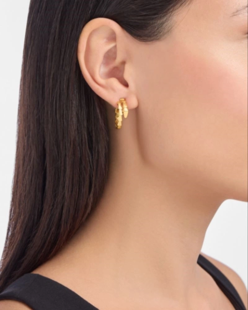 Boucheron Earrings Unique 208859