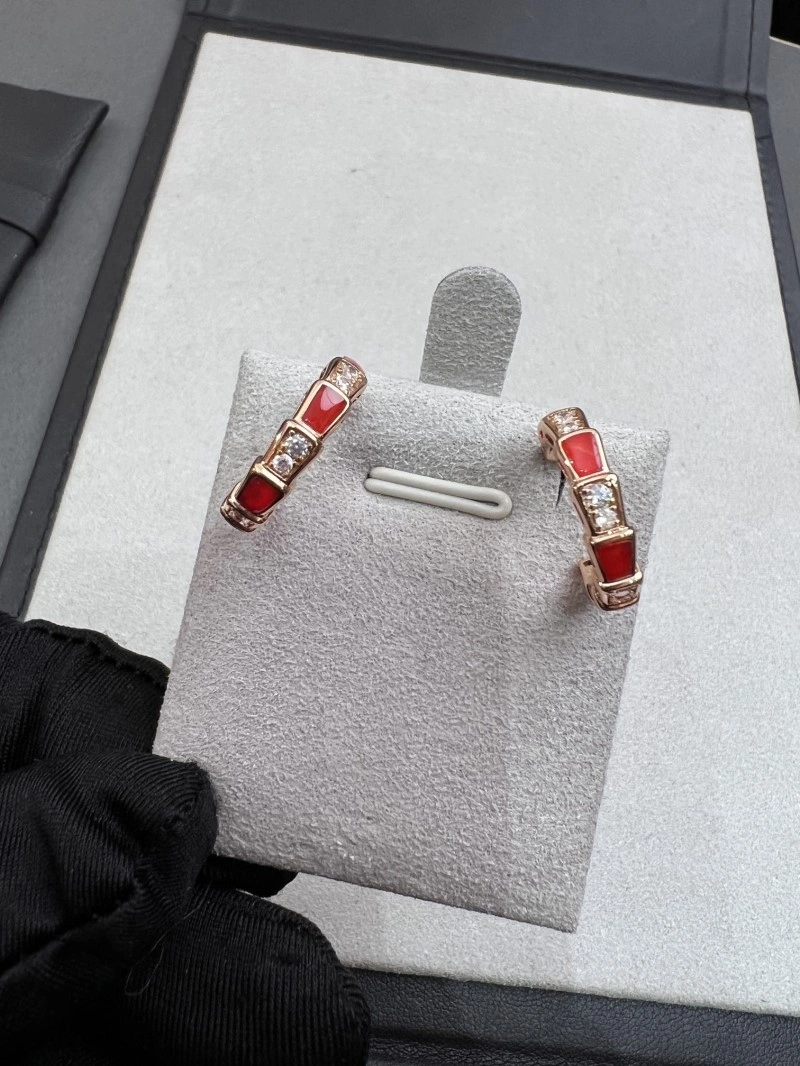 Boucheron Earrings WrinkleFree 208172