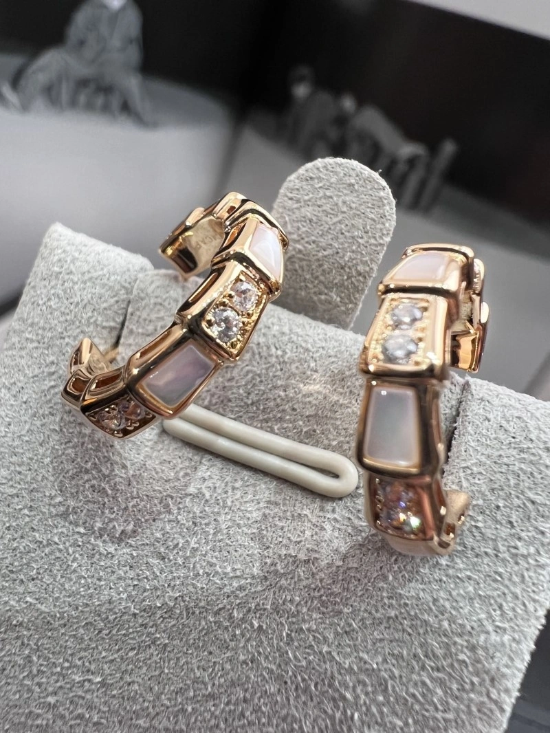 Boucheron Earrings Versatile 208164
