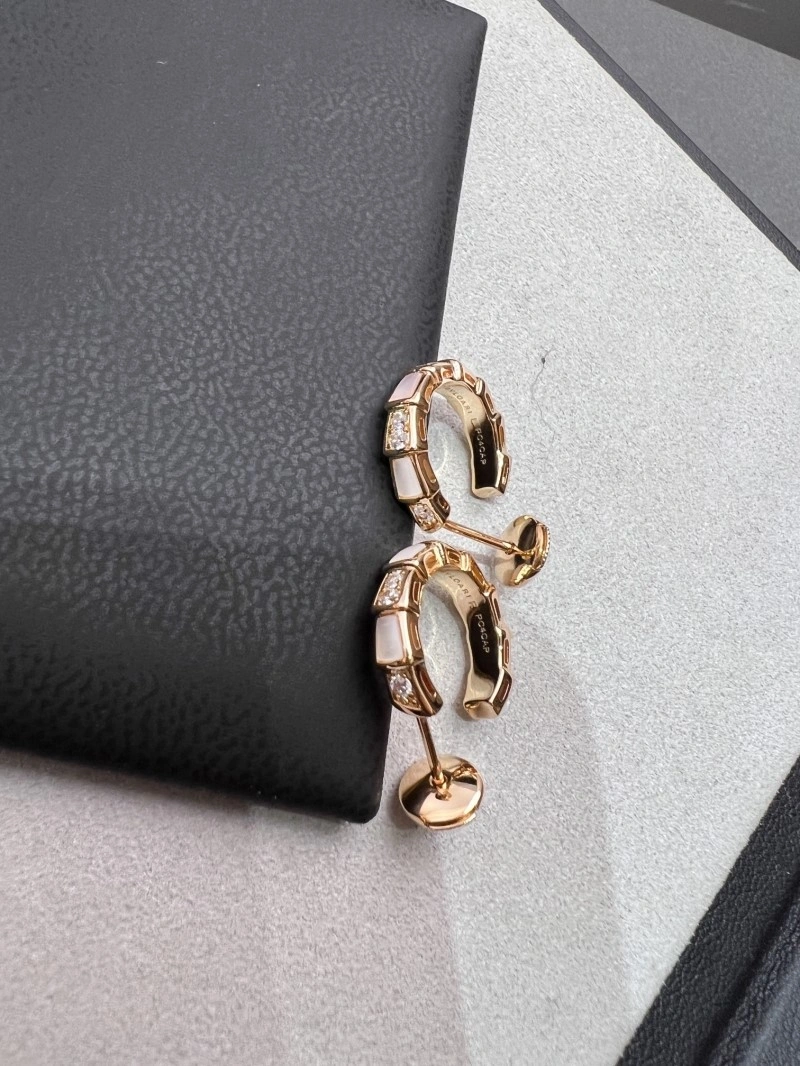 Boucheron Earrings Versatile 208164