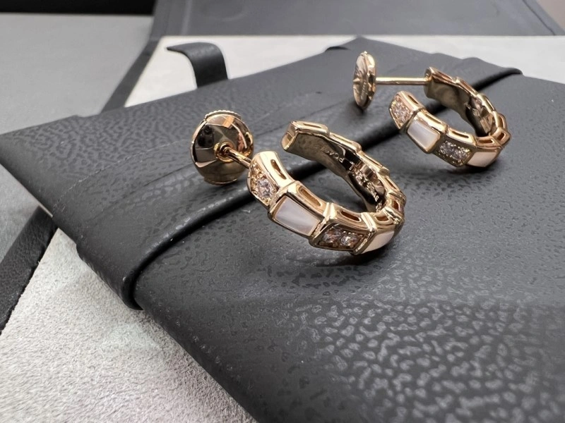 Boucheron Earrings Versatile 208164