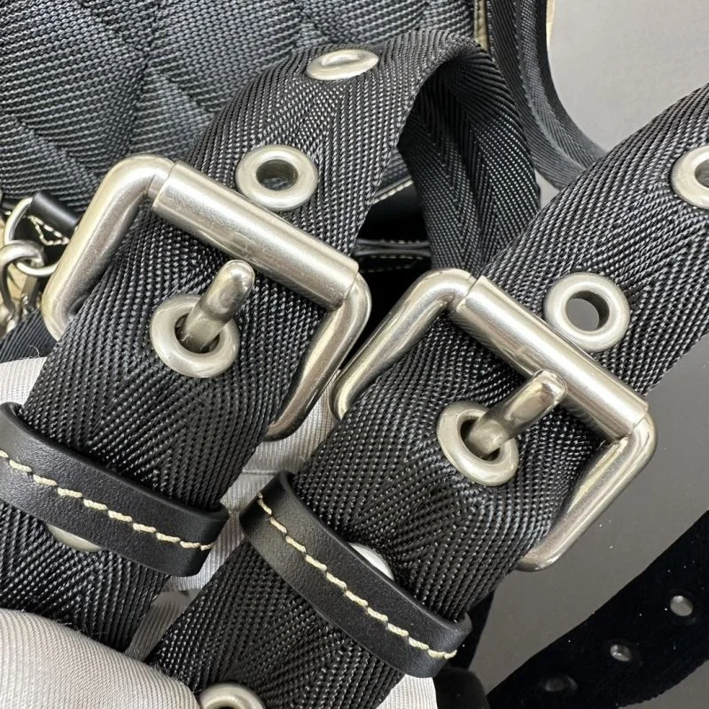 GoodFit Burberry Backpacks 38205