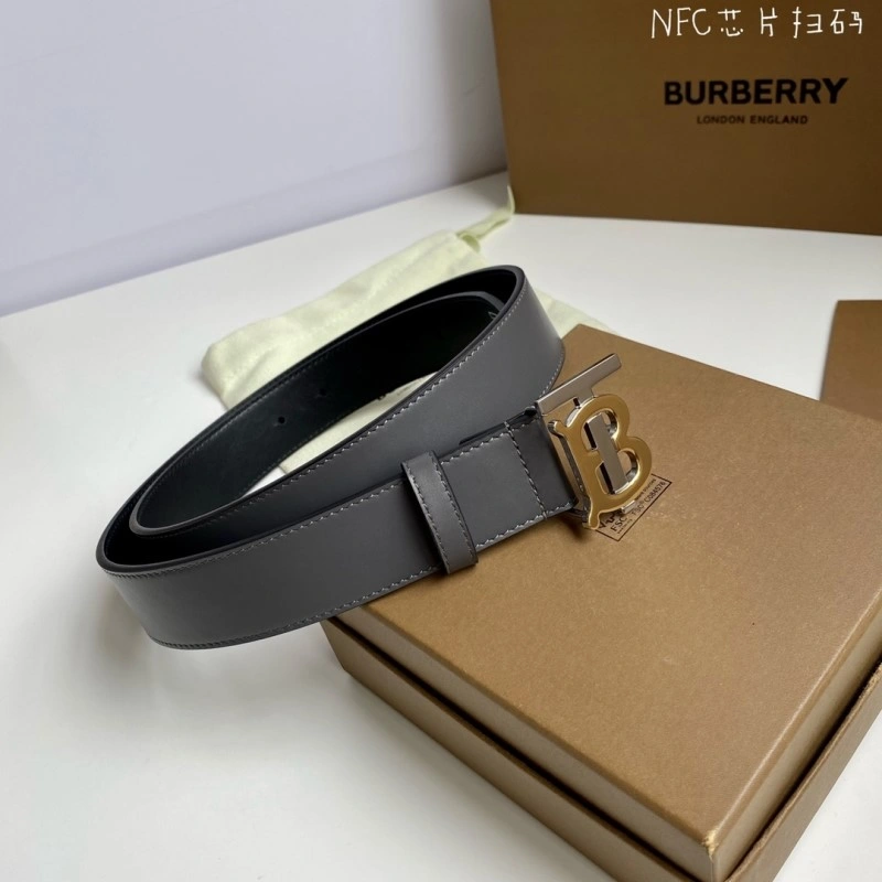 Burberry Belts Sporty 283215