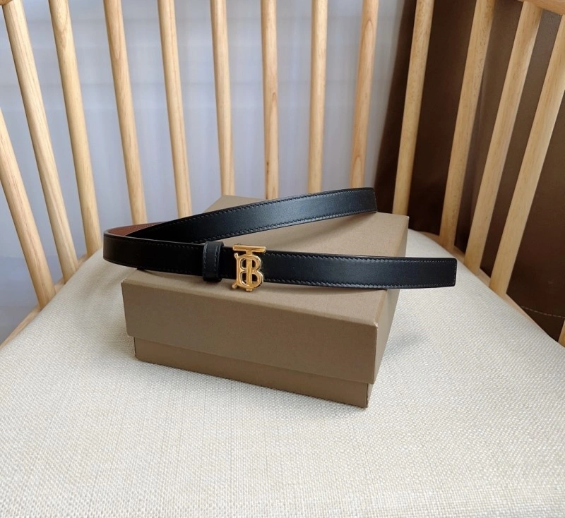 WellDesigned Burberry Belts 283419