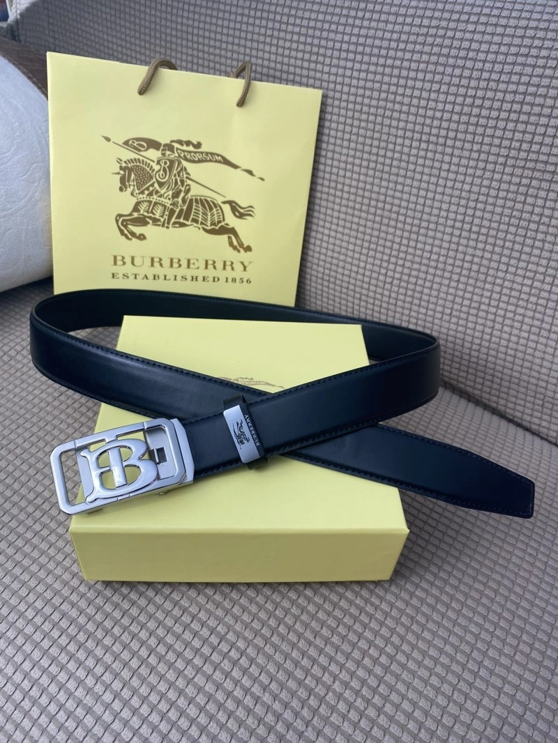 Burberry Belts Sporty 283403