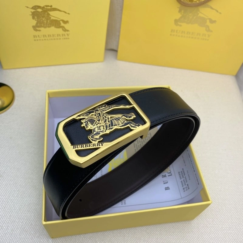 Burberry Belts Functional 283362