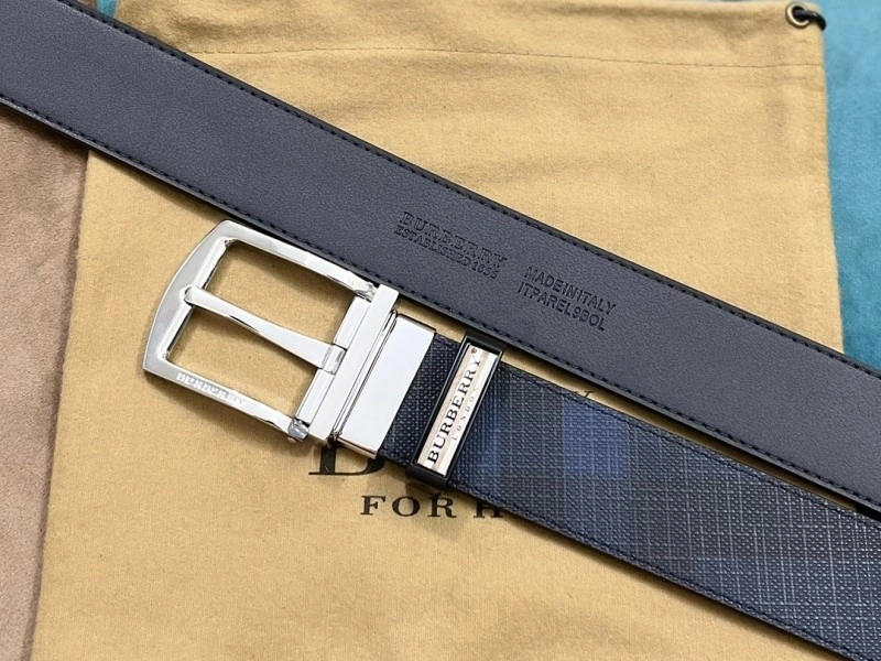 Burberry Belts GoAnywhere 283244