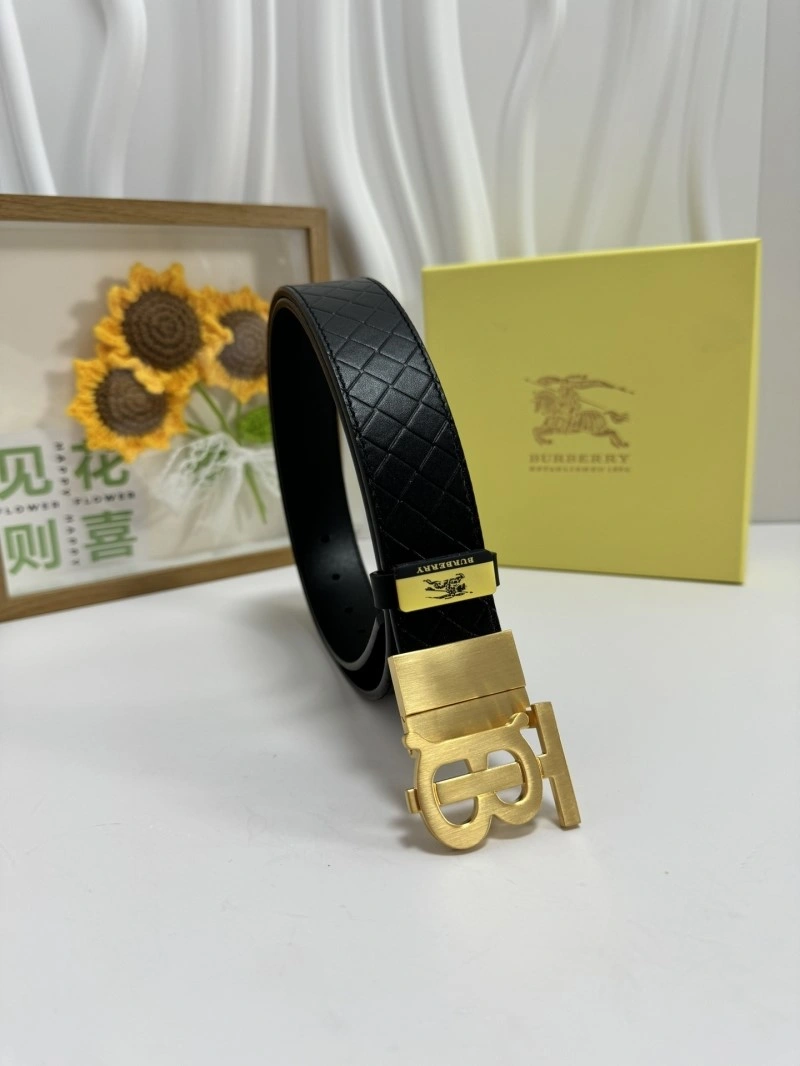 Burberry Belts Colorful 283078
