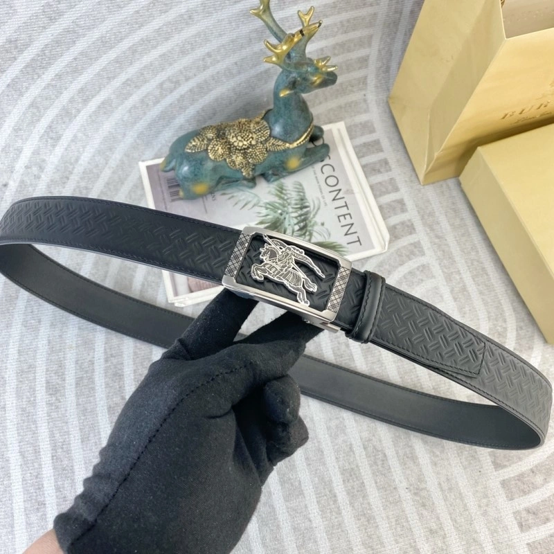 EasyCare Burberry Belts 283058