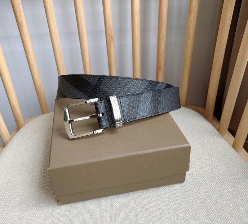 EasyCare Burberry Belts 283462